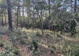  Terrain � vendre 559 m�