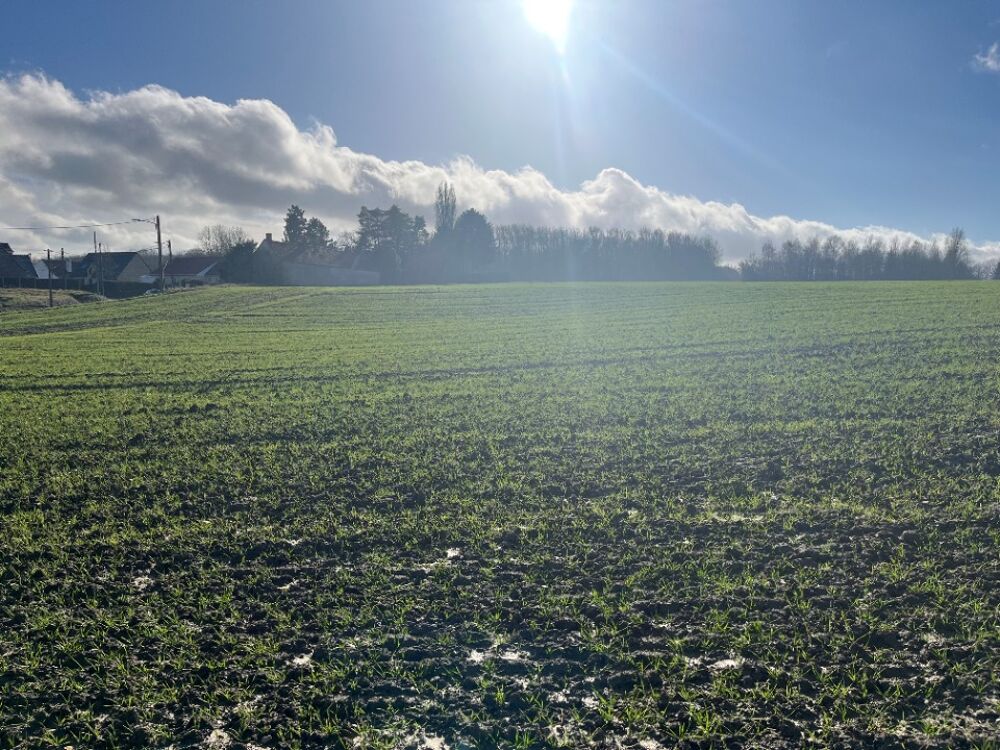 vente Terrain - 1300 m² Divion (62460)