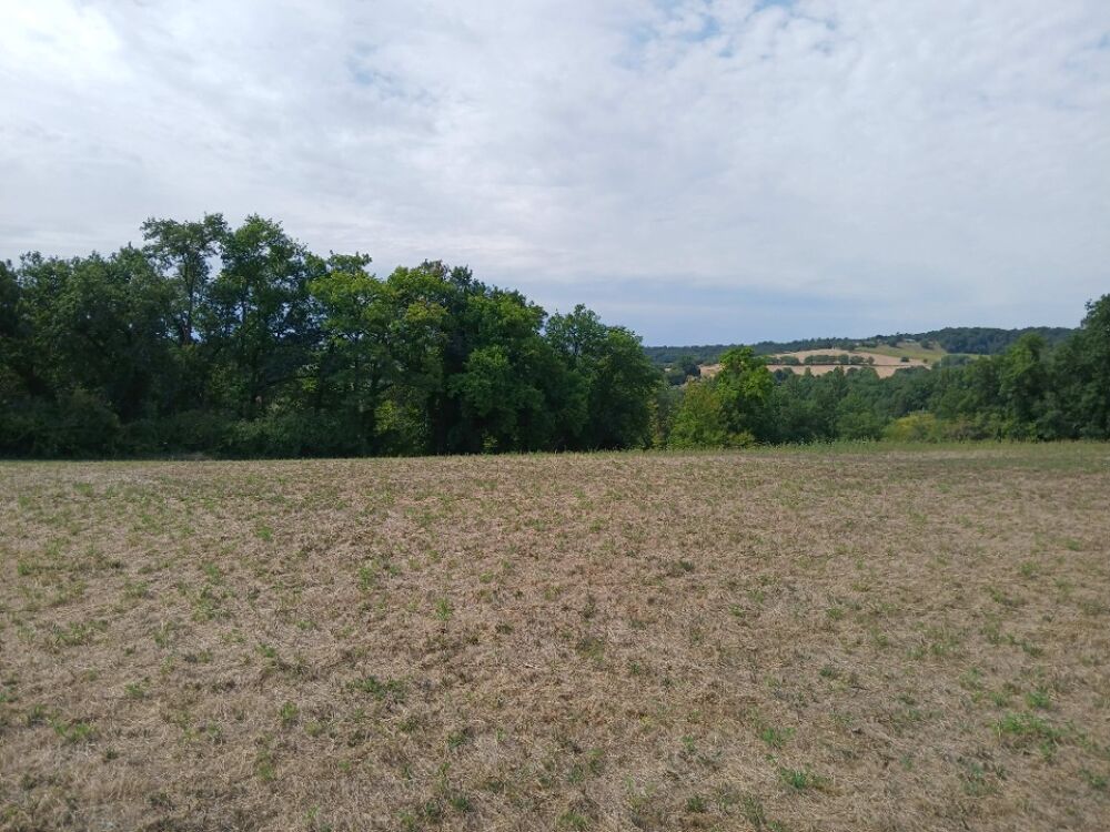 vente Terrain - 23620 m² Saint-Martin-de-Ribérac (24600)
