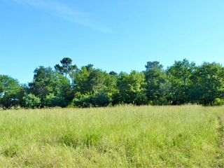  Terrain � vendre 696 m�