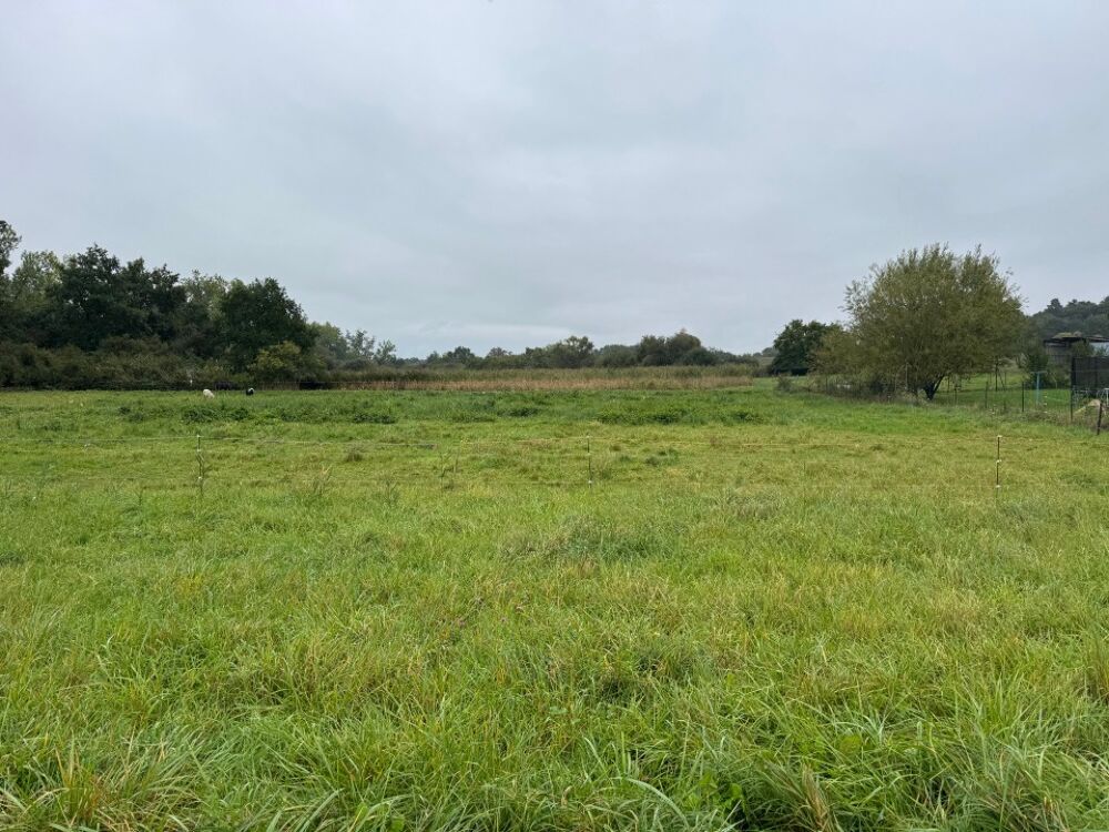 vente Maison - 5 pièce(s) - 100 m² Chémery-les-Deux (57320)