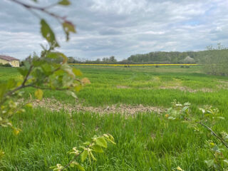  Terrain � vendre 560 m�