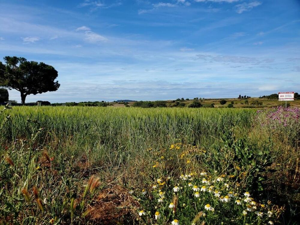 vente Terrain - 330 m² Marseillan (34340)
