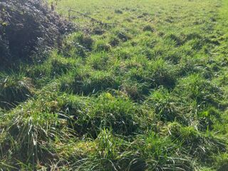  Maison 4 pi�ces 90 m� Chassors