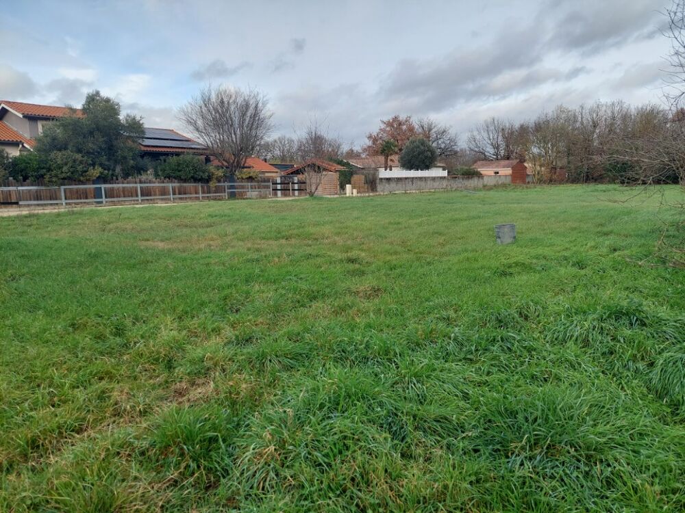vente Terrain - 300 m² Lavaur (81500)