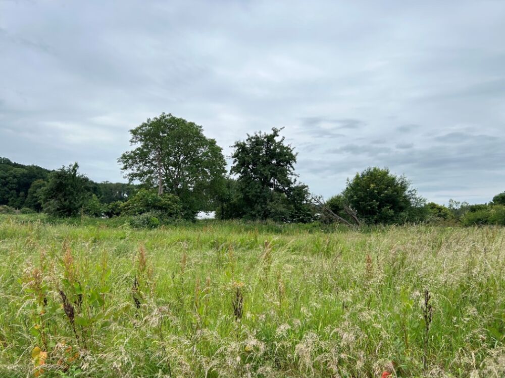 vente Maison - 9 pièce(s) - 142 m² Labeuvrière (62122)