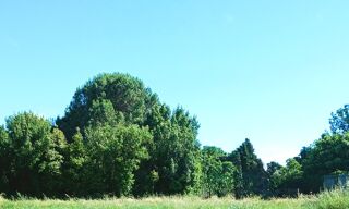 Terrain à vendre 1000 m²