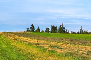  Maison 4 pi�ces 100 m� Lalbenque