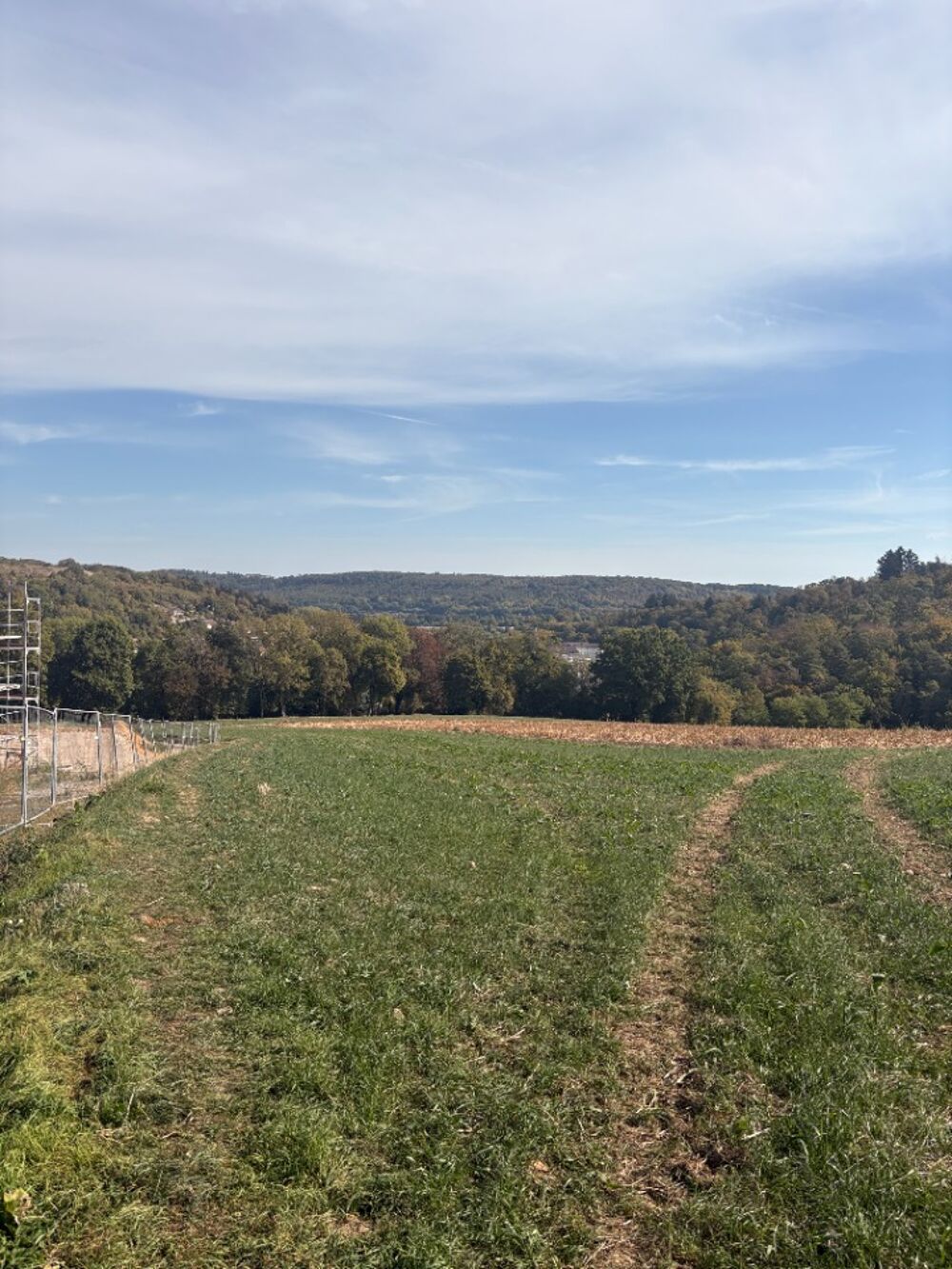 vente Maison - 4 pièce(s) - 101 m² Altkirch (68130)