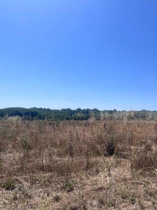  Terrain � vendre 463 m�