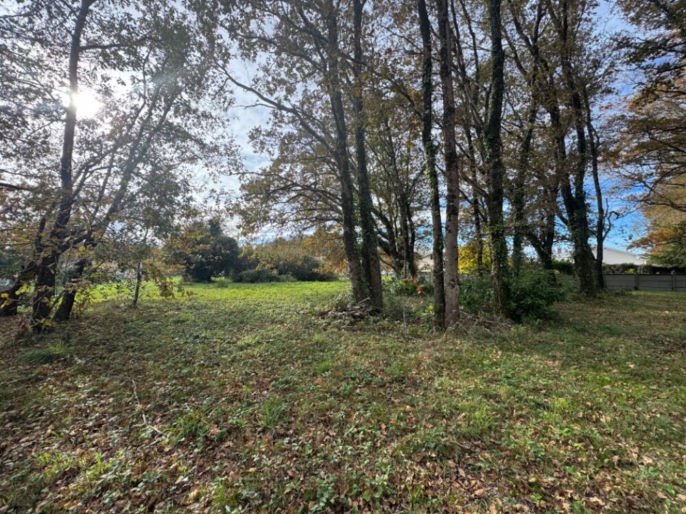 vente Terrain - 1804 m² Lesparre-Médoc (33340)