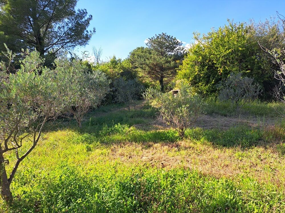 vente Maison - 6 pièce(s) - 115 m² Peynier (13790)