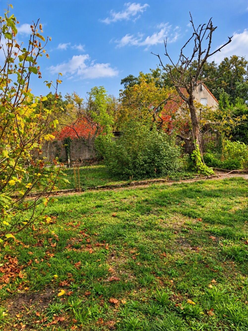 vente Terrain - 788 m² Milly-la-Forêt (91490)