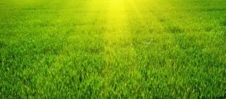  Terrain � vendre 1200 m�