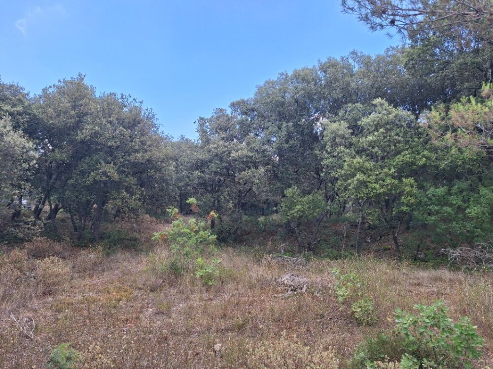 vente Maison - 4 pièce(s) - 120 m² Ginasservis (83560)