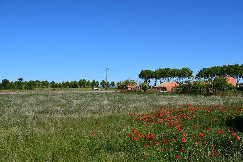 vente Terrain - 262 m² Maraussan (34370)