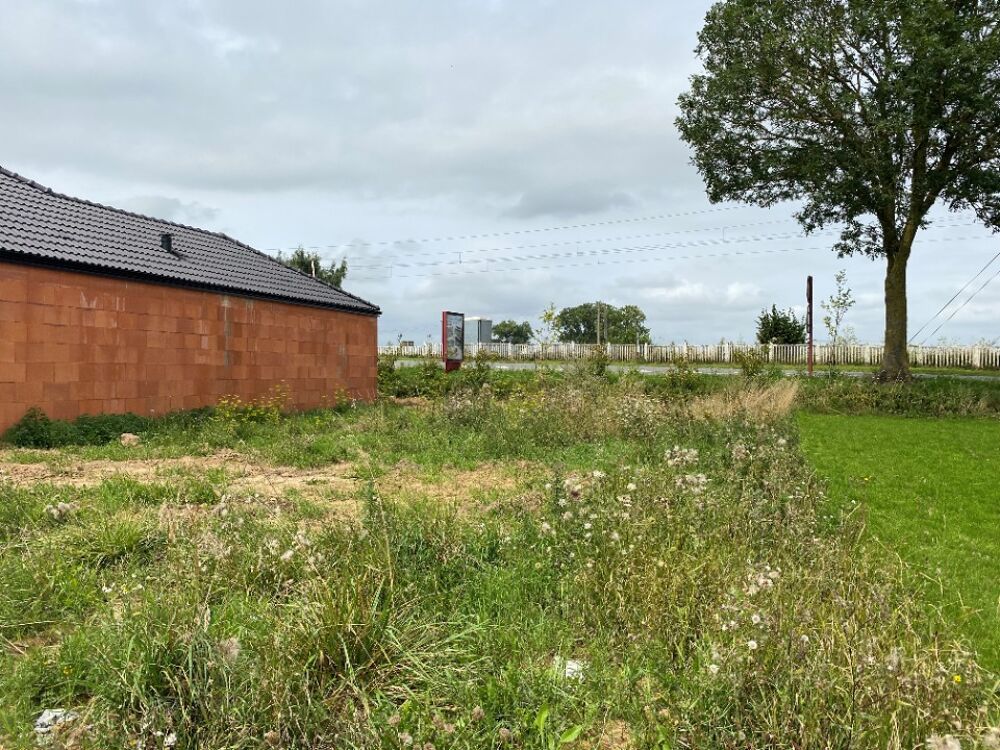 vente Maison - 6 pièce(s) - 100 m² Vimy (62580)