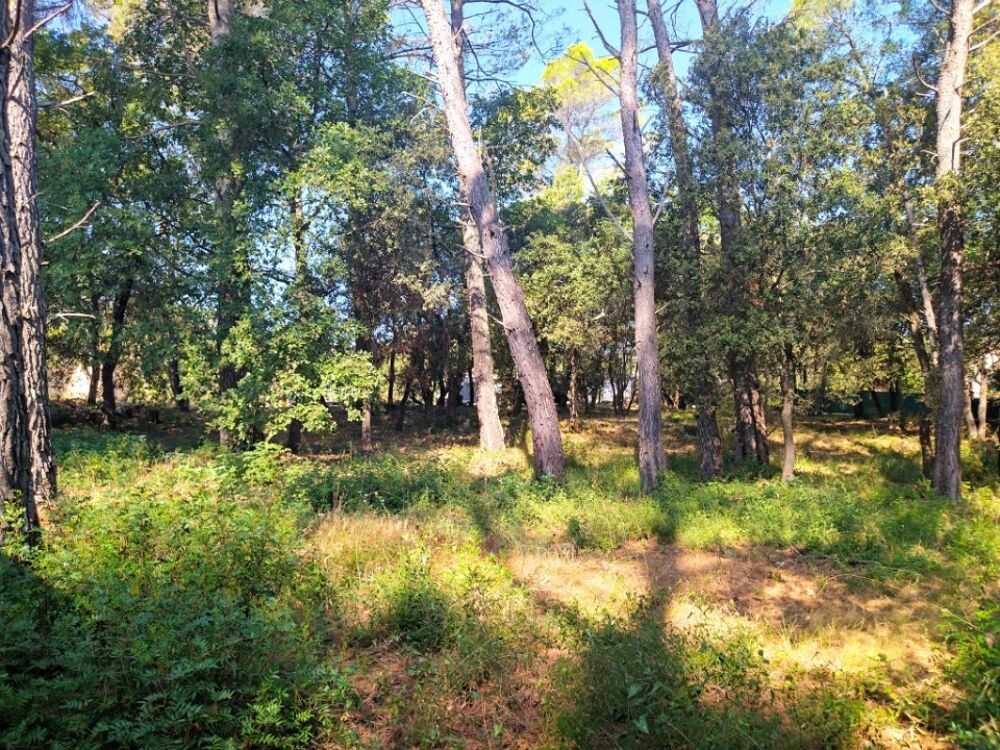 vente Maison - 4 pièce(s) - 110 m² Le Thoronet (83340)