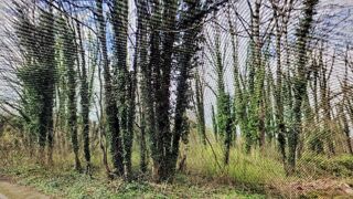  Maison � vendre 6 pi�ces 125 m�