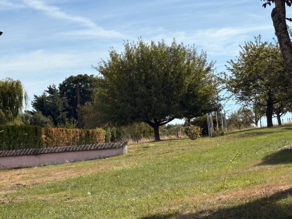 vente Terrain - 1200 m² Pfetterhouse (68480)