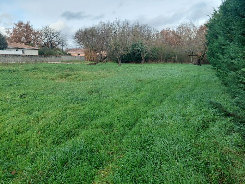 vente Maison - 4 pièce(s) - 151 m² Blagnac (31700)