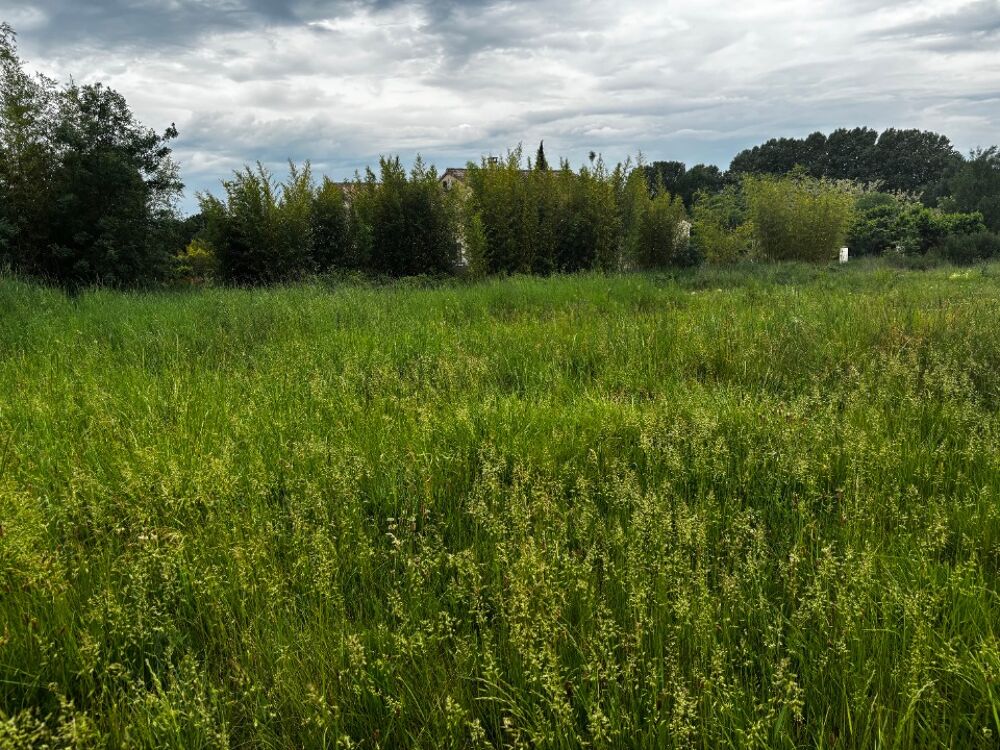 Terrain proposé dans le cadre d'un projet de constructio....