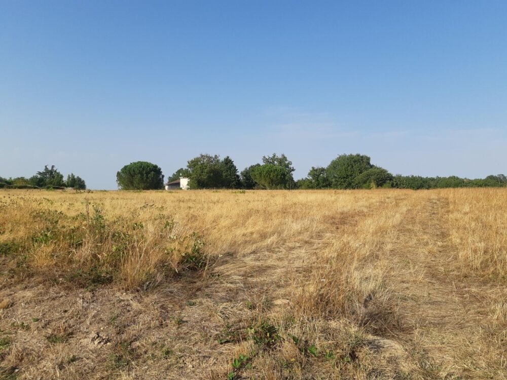 vente Maison - 4 pièce(s) - 110 m² Bruguières (31150)