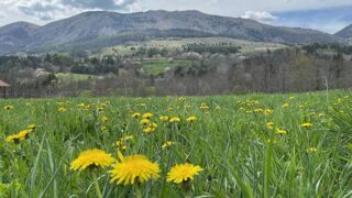  Maison � vendre 7 pi�ces 104 m�