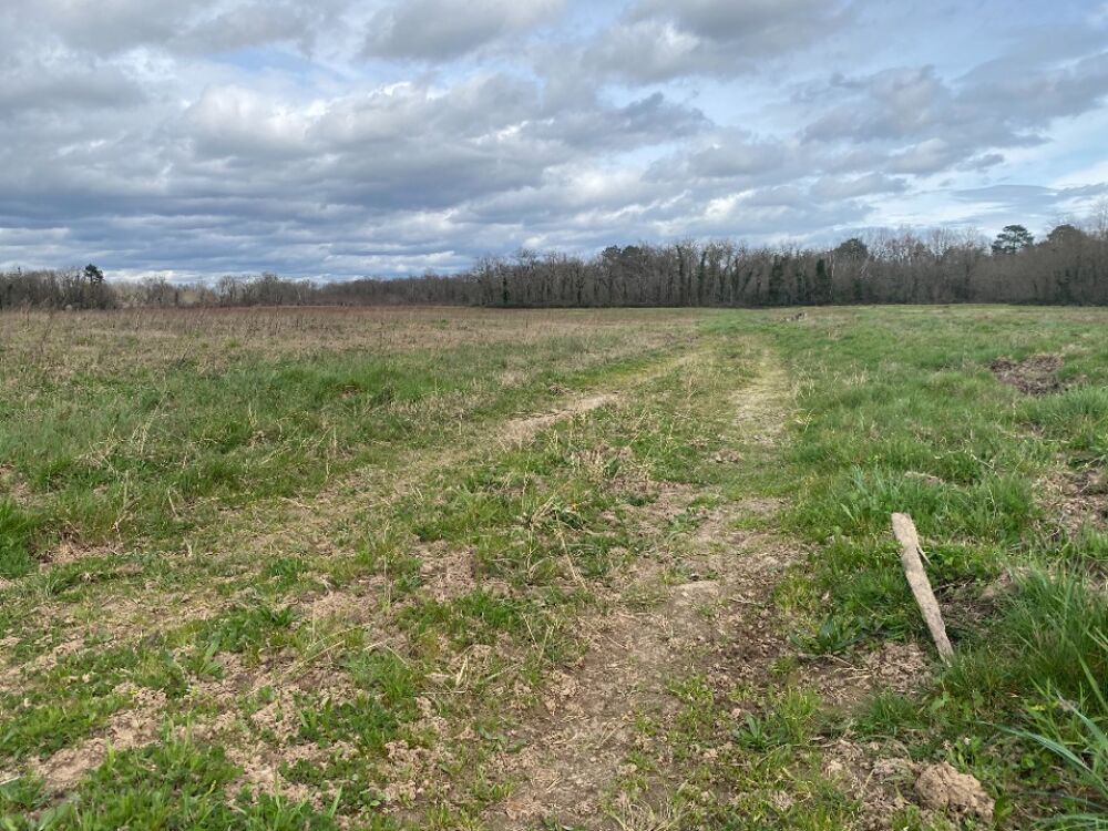 vente Terrain - 812 m² Portets (33640)