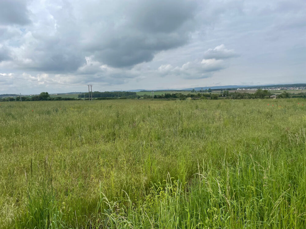 VENTE : maison T5 (90 m²) à Distroff ( lotissement en co....
