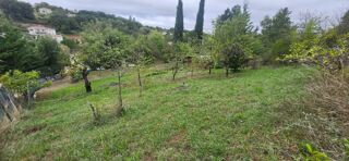  Maison 6 pi�ces 186 m� Puygouzon