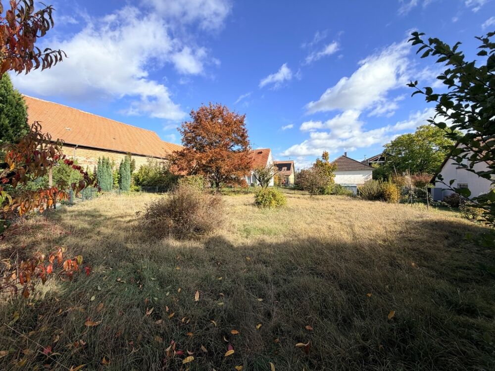 vente Maison - 5 pièce(s) - 130 m² Stutzheim-Offenheim (67370)