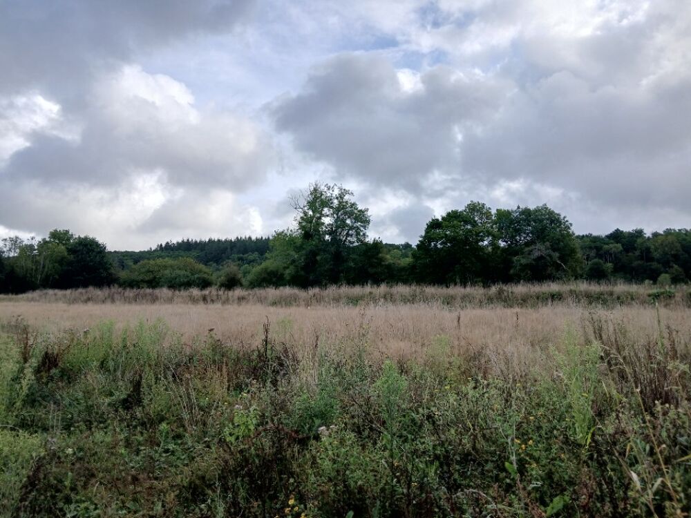 Maison T4 (70 m²) en vente au Breuil-en-Auge Proche ....