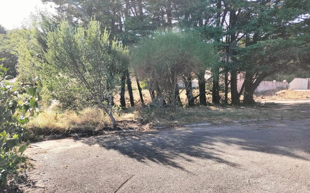 vente Terrain - 695 m² Rochemaure (07400)