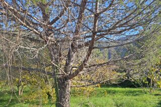  Terrain � vendre 614 m�