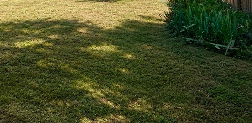 Habitez aujourd'hui, investissez demain - Maison neuve 1....