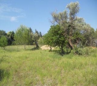  Terrain  vendre 300 m