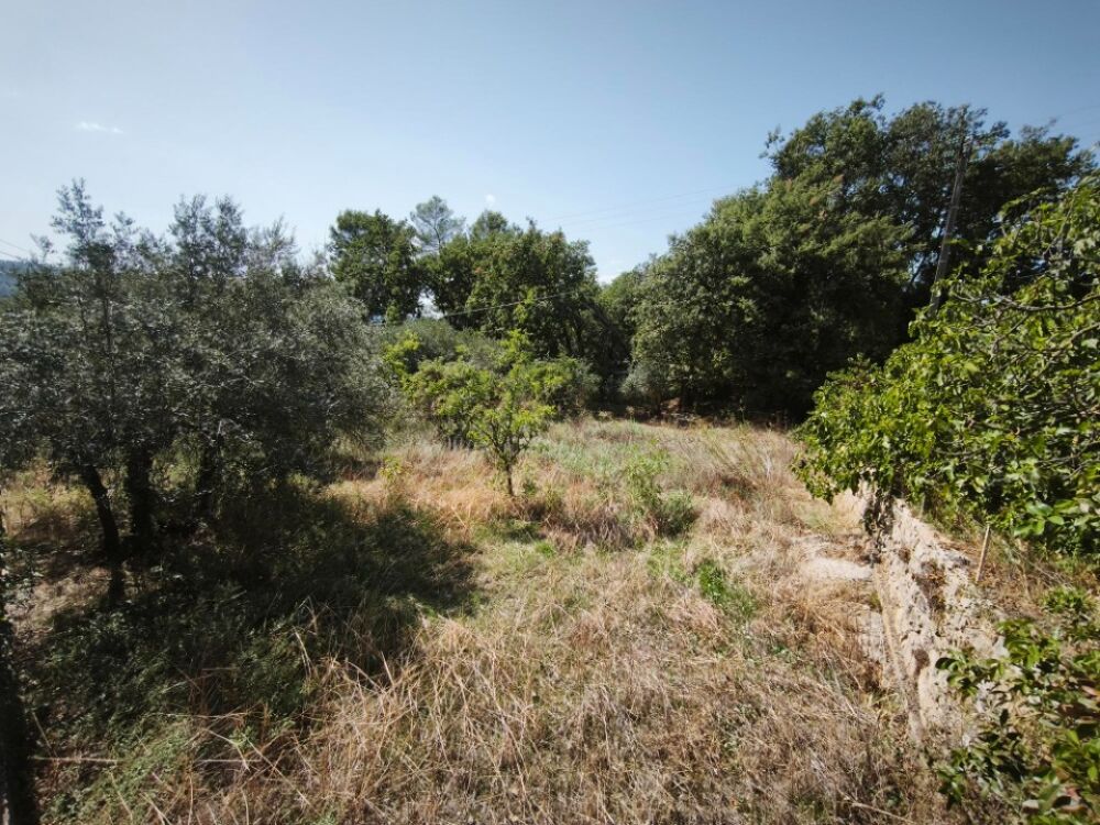 vente Terrain - 651 m² Brignoles (83170)