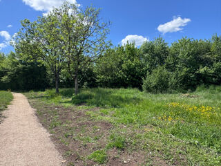  Terrain � vendre 746 m�