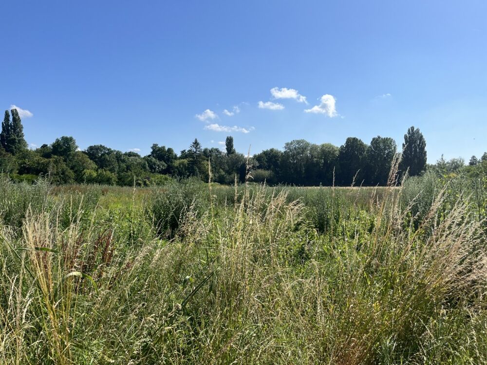 vente Terrain - 1000 m² Les Damps (27340)
