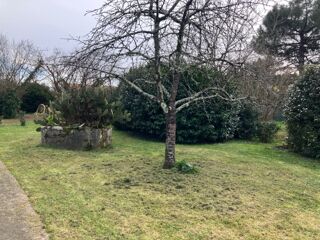  Terrain 1150 m� Cognac