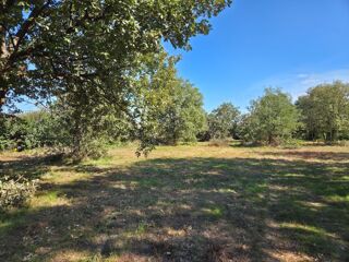  Terrain � vendre 503 m�