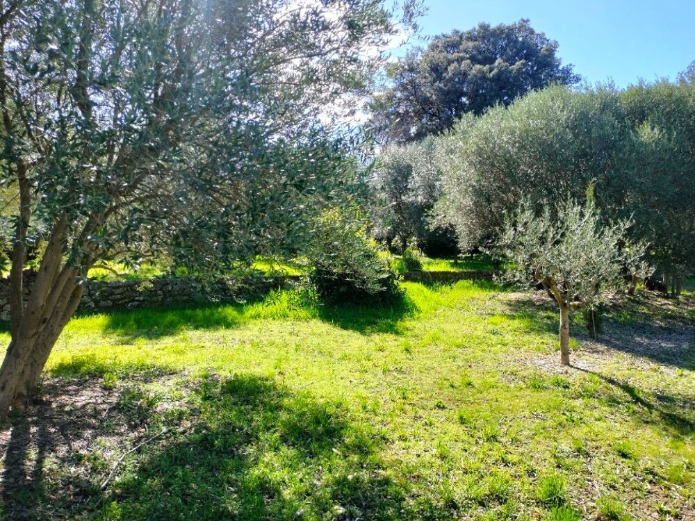 vente Terrain - 1000 m² Draguignan (83300)