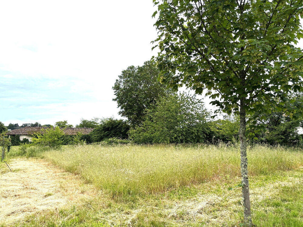vente Terrain - 1190 m² Gours (33660)