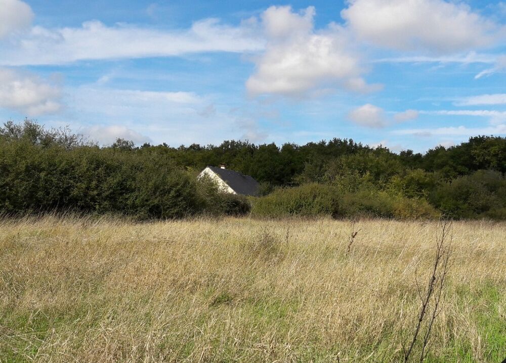 vente Maison - 4 pièce(s) - 80 m² Neuvy-le-Roi (37370)