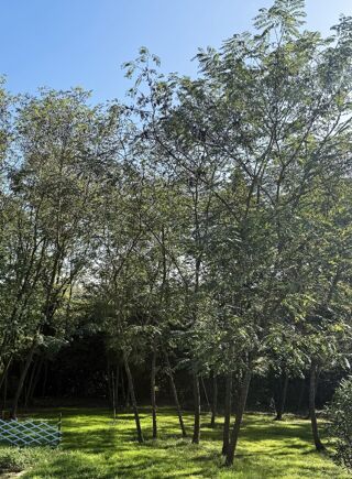  Terrain � vendre 1900 m�