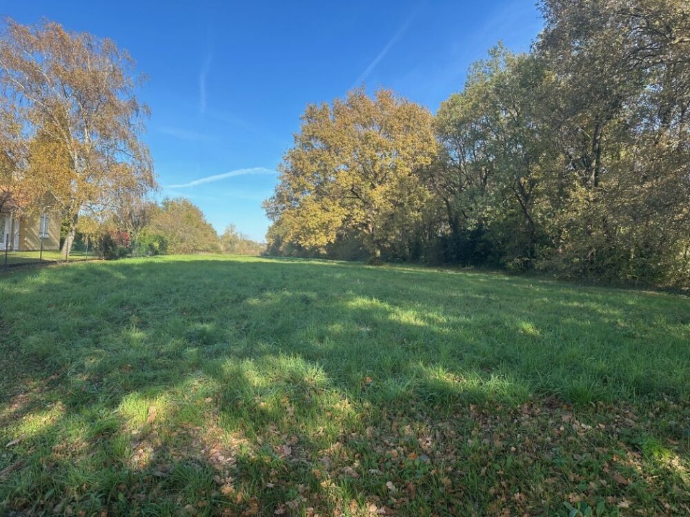 vente Terrain - 700 m² Saint-André-de-Cubzac (33240)