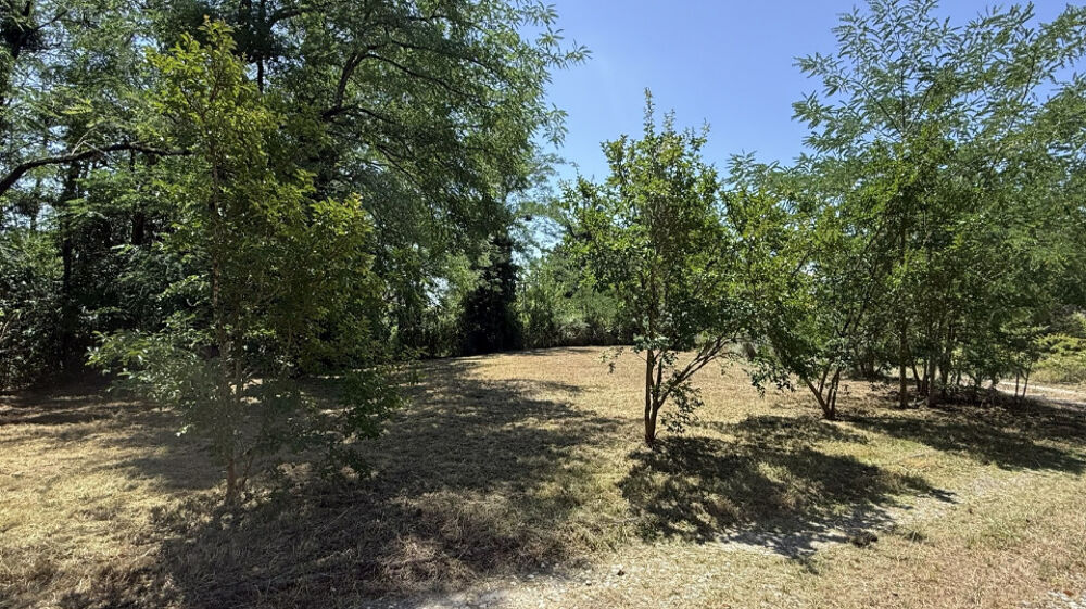 MAISON À CONSTRUIRE DE 85 M² À LANGOIRAN, PROXIMITÉ DE B....