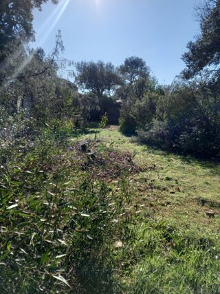  Terrain 670 m� Le cannet-des-maures