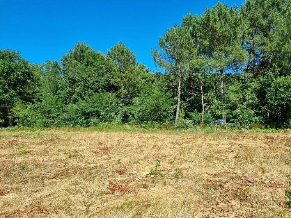 vente Terrain - 1035 m² Saint-Médard-en-Jalles (33160)